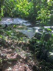 Excelente Terreno en La Fortuna en La Fortuna, San Carlos, Alajuela — 80 000 000 ₡ - Foto 4 de 8