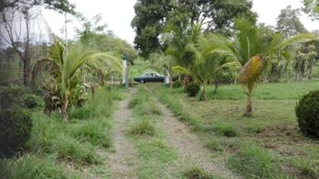 Venta de Lote en Montes de Oro, Puntarenas. RAH 26-249 en Miramar, Montes De Oro, Puntarenas — $76,000 - Foto 4 de 10