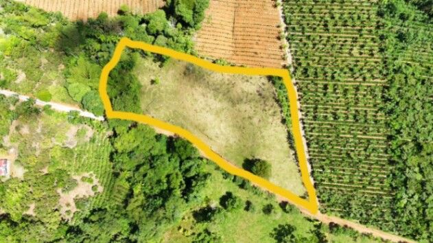 PRIME 1-HECTARE LOT FOR SALE WITH CREEK IN PUEBLO NUEVO DE CAJÓN in Cajón, Pérez Zeledón, San José — $90,000
