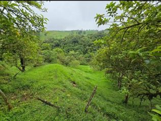 Propiedad en venta en Zarcero en Zapote, Zarcero, Alajuela — 90 000 000 ₡ - Foto 5 de 10