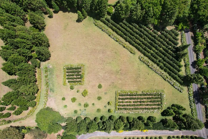 Farm For Sale In Grecia Costa Rica – 28,000 m² in San Isidro, Grecia, Alajuela — ₡ 252 000 000