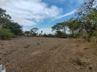 Terreno de 14 hectáreas en la Ceiba de Orotina en La Ceiba, Orotina, Alajuela — 1 410 000 000 ₡ - Foto 4 de 24