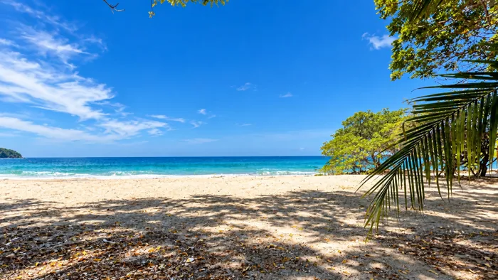 Finca 40 hectáreas con pozo -potencial de desarrollo en Papagayo en Bejuco, Nandayure, Guanacaste — $5,900,000 - Foto 3 de 13