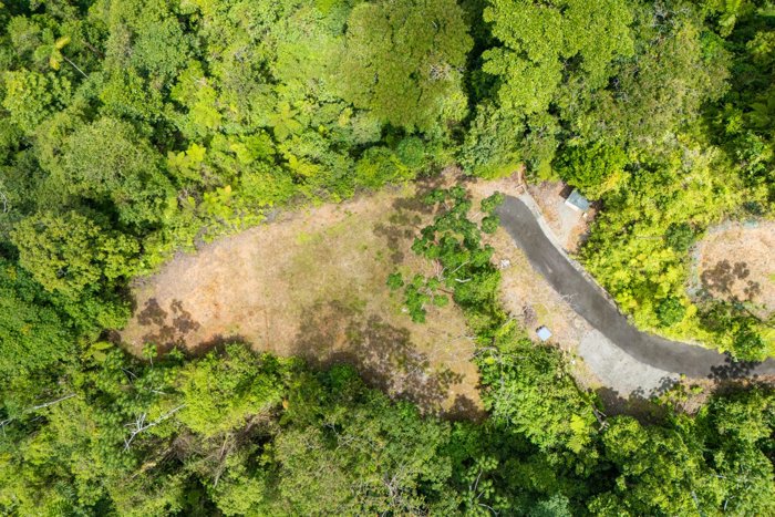 SE VENDE OPORTUNIDAD DE DESARROLLO CON VISTAS PANORAMICAS AL MAR EN OSA en Puerto Cortés, Osa, Puntarenas — $1,190,000