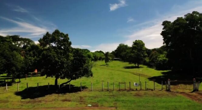 DE OPORTUNIDAD BELLA FINCA EN SAN MATEO, ALAJUELA.  en San Mateo, Alajuela — ₡ 250 000 000