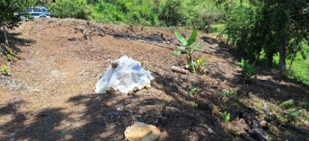 Propiedad el La  Manchuria  in Limoncito, Coto Brus, Puntarenas — $30,000