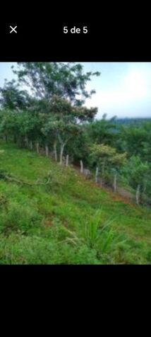 DE OPORTUNIDAD BELLA Y ÚTIL FINCA EN ACOSTA, SAN JOSÉ.  en Palmichal, Acosta, San José — ₡ 2 500 000
