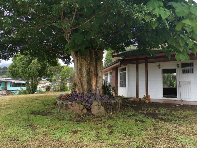 Propiedad con dos casas a la venta in San Ramón, La Unión, Cartago — $477,000