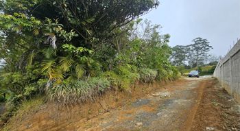 Venta de Terreno en Grecia, Alajuela in San Isidro, Grecia, Alajuela — 60 000 000 ₡ - Photo 4 of 9