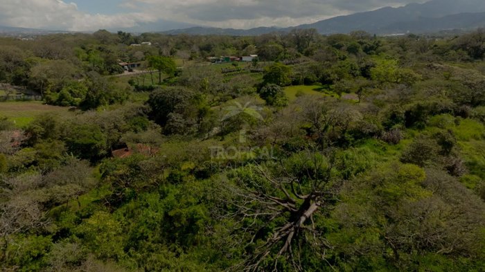 Terreno Premium en Venta en La Guácima – 1.6 ha con Potencial en Guácima, Alajuela — $808,000 - Foto 2 de 19