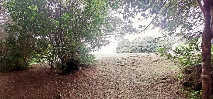 Lote en Residencial El Castillo con bosque en Ángeles, San Rafael, Heredia — ₡ 106 000 000 - Foto 3 de 22