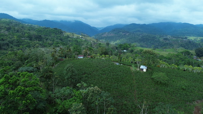 Finca Agricola Turística 5,5 Ha. in San Ramón, Alajuela — $200,000 - Photo 2 of 8