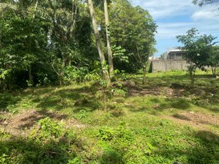 Lote frente al BAC SAN JOSE , Guapiles centro in Guápiles, Pococí, Limón — $3,876,620 - Photo 2 of 8