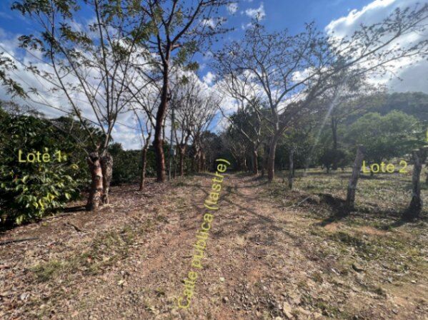 Precioso Lote en Llano Grande de Mora, Puriscal in Picagres, Mora, San José — ₡ 45 000 000