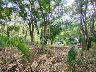 Lotes 49 y 50 en Ruta del Sol, precio de oportunidad en Cuajiniquil, Santa Cruz, Guanacaste — $85,000 - Foto 3 de 24