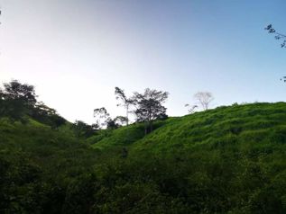 VENTA DE FINCA, PUNTARENAS, MONTAÑA GRANDE, LEPANTO in Lepanto, Puntarenas — $606,715 - Photo 5 of 11