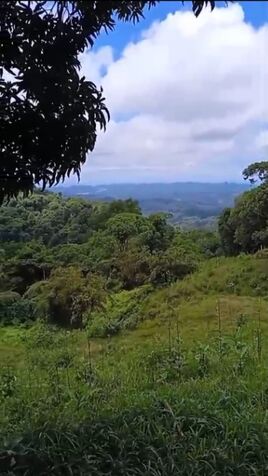 PARA INVERSIONISTAS, FINCA EN QUEPOS, COSTA RICA.  en Quepos, Puntarenas — $2,000,000