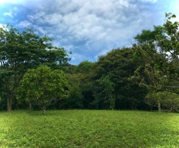 Lote en Venta para construir en El Rodeo (negociable AC MLS#26-1024) en Colón, Mora, San José — $425,000 - Foto 4 de 15