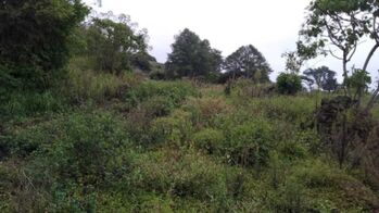 Venta de Lote en Oreamuno-Cartago. en Cot, Oreamuno, Cartago — $63,000 - Foto 4 de 12