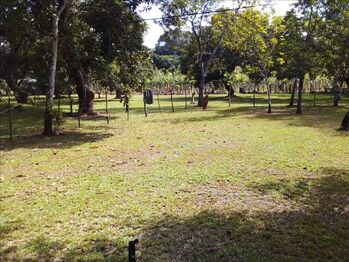 Vendo Lote cerca de la playa. en Miramar, Montes De Oro, Puntarenas — 75 000 000 ₡ - Foto 5 de 9