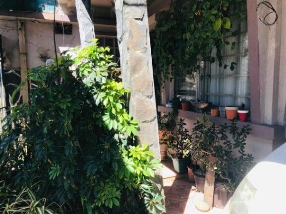 Se vende propiedad para remodelar en Heredia Centro 25-986 en Heredia — ₡ 150 000 000 - Foto 3 de 19