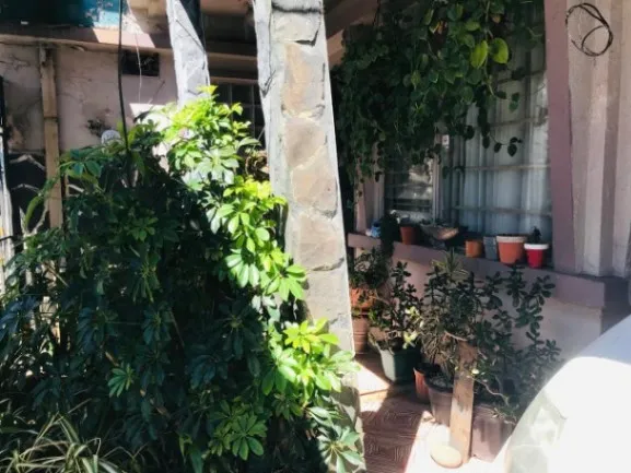 Se vende propiedad para remodelar en Heredia Centro 25-986 en Heredia — ₡ 150 000 000 - Foto 3 de 19
