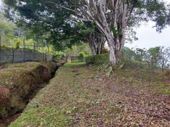 Venta de Lote con Cabaña en Turrialba, Cartago. RAH 25-1184 in Peralta, Turrialba, Cartago — $350,000 - Photo 5 of 20