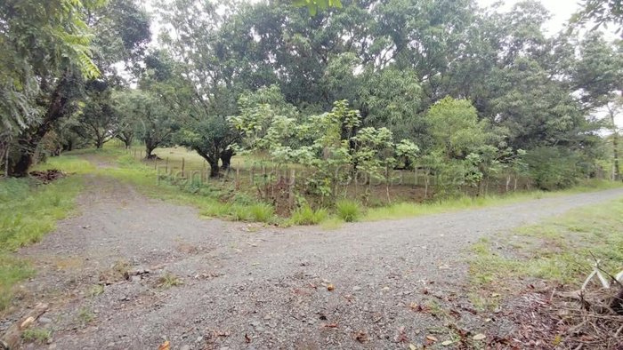 Venta de Lote en Turrubares. RAH 27-866 OPORTUNIDAD ÚNICA en San Juan De Mata, Turrubares, San José — ₡ 65 000 000