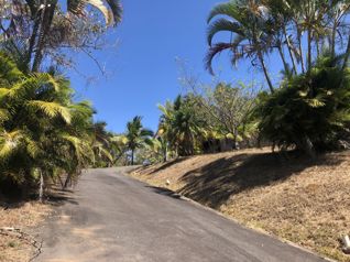 Se vende quinta rodeada de naturaleza en la tranquilidad de occidente en San Miguel, Naranjo, Alajuela — $503,700 - Foto 4 de 45