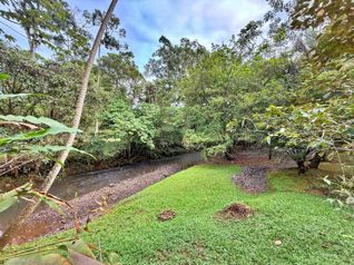 Venta finca c/3 edificaciones, río y vivero, Tárcoles, Garabito. (MV) en Tárcoles, Garabito, Puntarenas — $539,500 - Foto 3 de 20