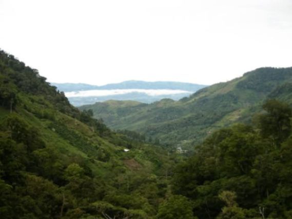 SE VENDEN 95 HECTÁREAS DE BOSQUE PRIMARIO EN PÉREZ ZELEDÓN.  en San Pedro, Pérez Zeledón, San José — $1,200,000