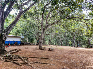 Se Vende Finca de 11,830 m2 en Orotina con Frente al Rio Machuca en Orotina, Alajuela — $295,000 - Foto 2 de 16
