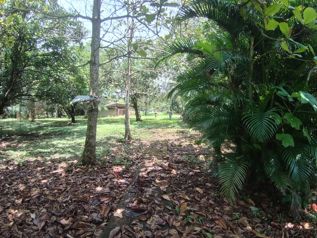 QUINTA EN OROTINA A LA VENTA en Orotina, Alajuela — 110 000 000 ₡ - Foto 4 de 7