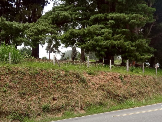 Venta de finca uso de suelo mixto en Naranjo in Naranjo, Alajuela — $498,680 - Photo 2 of 15