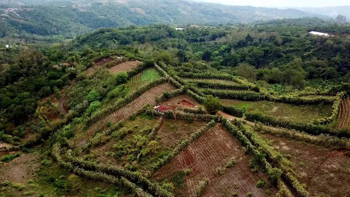 DE OPORTUNIDAD ESPECIAL FINCA PARA USO AVICOLA EN SAN RAMÓN DE ALAJUELA. in Piedades Norte, San Ramón, Alajuela — ₡ 265 000 000 - Photo 2 of 2