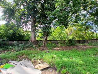 Venta de Lote en Santa Cruz-27 de Abril. RAH 26-2208 in Veintisiete De Abril, Santa Cruz, Guanacaste — 16 500 000 ₡ - Photo 5 of 10