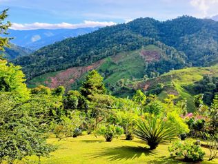 SE VENDE FINCA SOSTENIBLE CON ACCESO A RIO Y VISTAS A CHIRRIPO en Rivas, Pérez Zeledón, San José — $675,000 - Foto 5 de 35