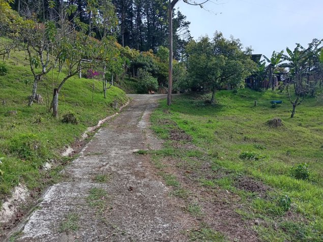 VENTA O ALQUILER FINCA DE DESARROLLO TURISTICO, CARTAGO in Quebradilla, Cartago — $7,500 - Photo 3 of 31