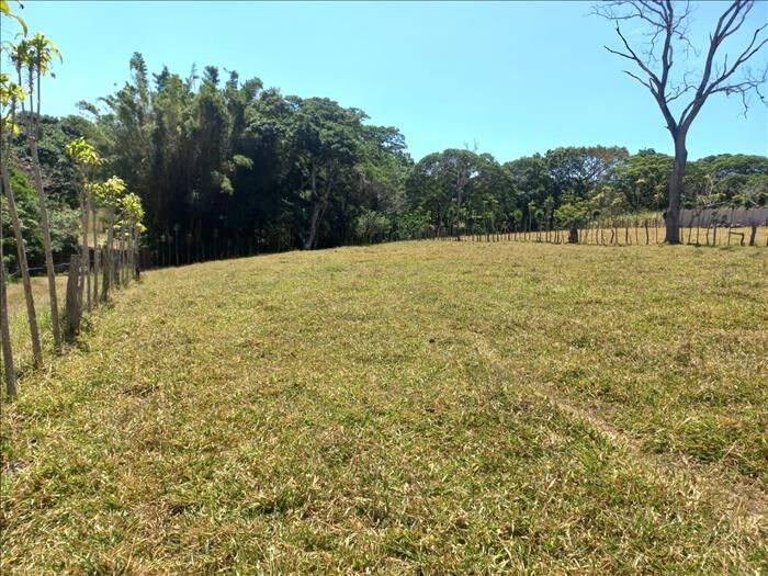BELLA PROPIEDAD EN SABANA LARGA DE ATENAS. en Atenas, Alajuela — ₡ 135 000 000