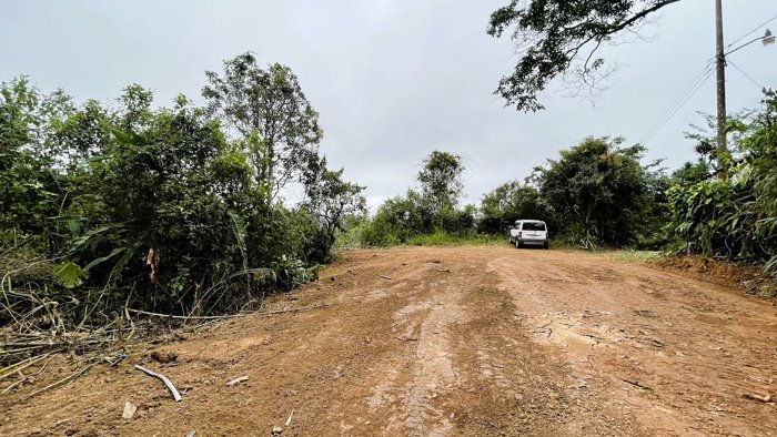 SE VENDE FINCA EN SAN RAFAEL, SAN RAMON in San Ramón, Alajuela — $207,000