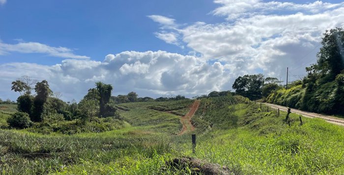 VENTA DE FINCA, HEREDIA, SARAPIQUÍ, GOLFITO, LA CUREÑA en Las Horquetas, Sarapiquí, Heredia — $550,000