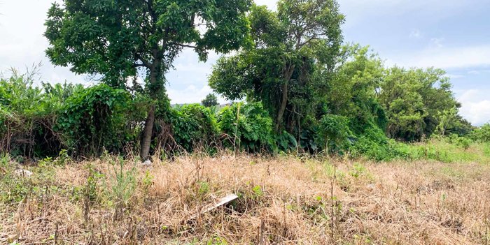VENTA TERRENO DE DESARROLLO, HEREDIA, FLORES en San Joaquín, Flores, Heredia — $750,000