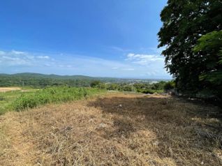 VENTA DE LOTE DE 600 M² | SAN MIGUEL DE BARRANCA, PUNTARENAS en Barranca, Puntarenas — $60,000 - Foto 5 de 8