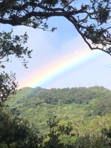 Venta de lote en Liberia  en Liberia, Guanacaste — ₡ 1