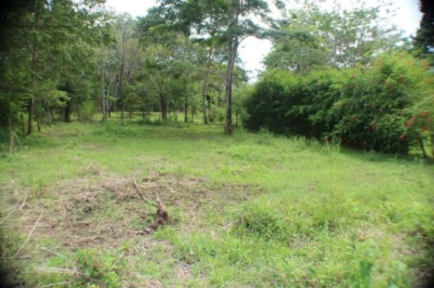 venta de hermoso lote con gran potencial turistico en Bahía Ballena, Osa, Puntarenas — $450,000