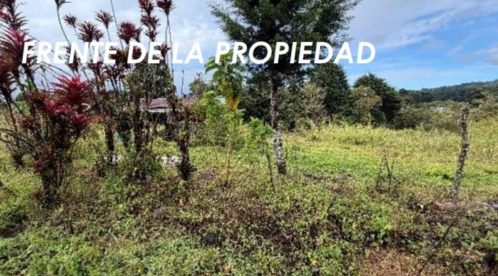 GRAN OPORTUNIDAD DE INVERSIÓN: LOTE DE 7.059 M² EN SAN ISIDRO en San José, San Isidro, Heredia — ₡ 162 000 000 - Foto 2 de 10
