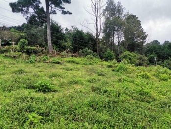 Se vende lote de 7300m2 en Puraba de Santa Barbara 23-874 in Purabá, Santa Bárbara, Heredia — $367,000 - Photo 5 of 18