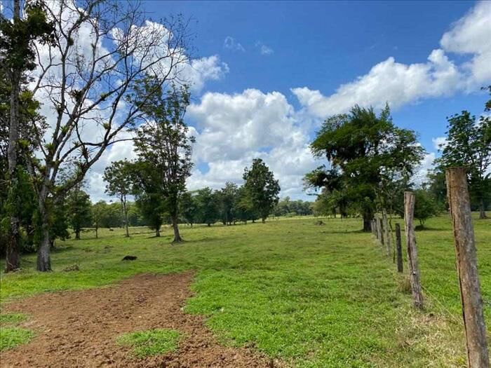 SE VENDE BELLA Y ÚTIL FINCA EN TICABÁN, GUÁPILES. en Guápiles, Pococí, Limón — ₡ 630 000 000