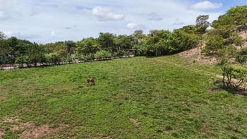 Terreno Industrial en VENTA Orotina – 59.761 m² | Alto Potencial en Coyolar, Orotina, Alajuela — $1,494,025 - Foto 5 de 31