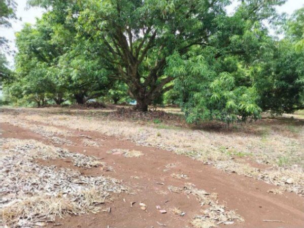 Venta de Lote en San Mateo-Labrador. RAH 26-2228 en Labrador, San Mateo, Alajuela — ₡ 123 180 000